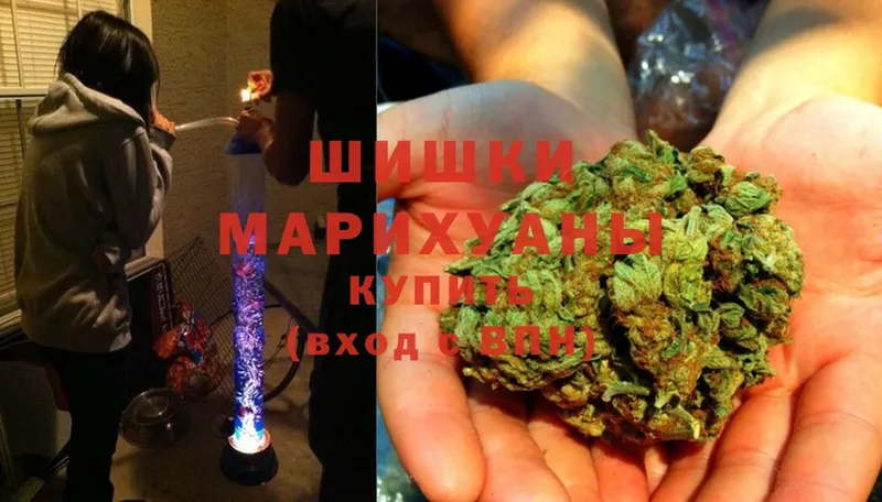 Каннабис SATIVA & INDICA  купить наркотик  Сертолово 